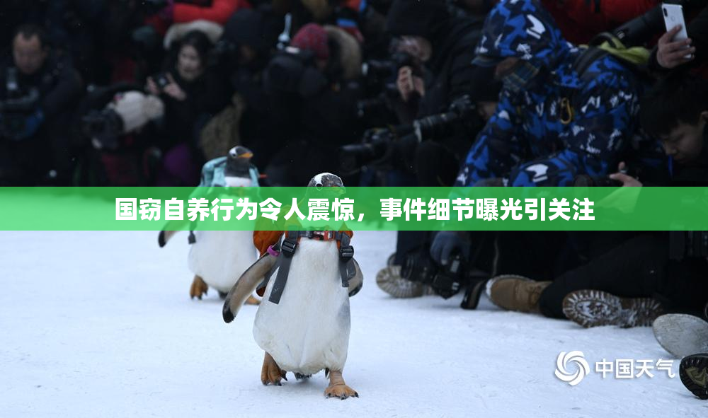 国窃自养行为令人震惊，事件细节曝光引关注