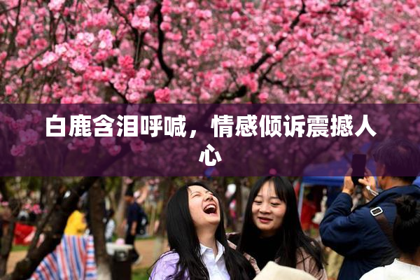 白鹿含泪呼喊，情感倾诉震撼人心