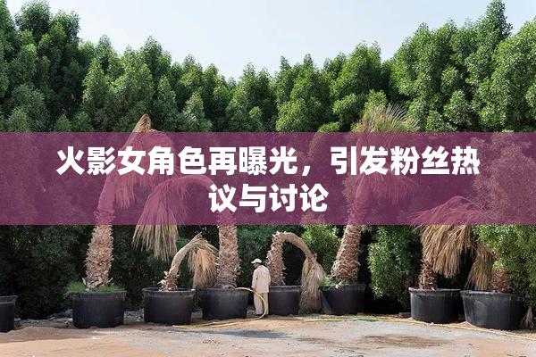 火影女角色再曝光，引发粉丝热议与讨论