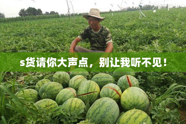 s货请你大声点，别让我听不见！