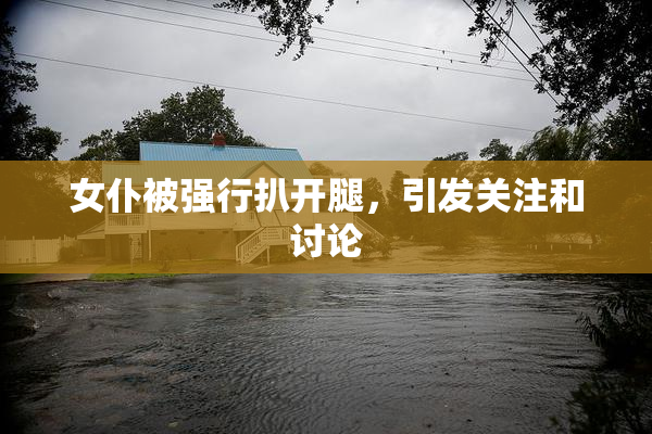 女仆被强行扒开腿，引发关注和讨论
