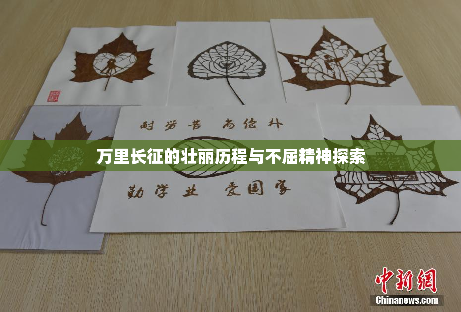万里长征的壮丽历程与不屈精神探索
