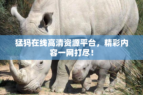 猛犸在线高清资源平台，精彩内容一网打尽！