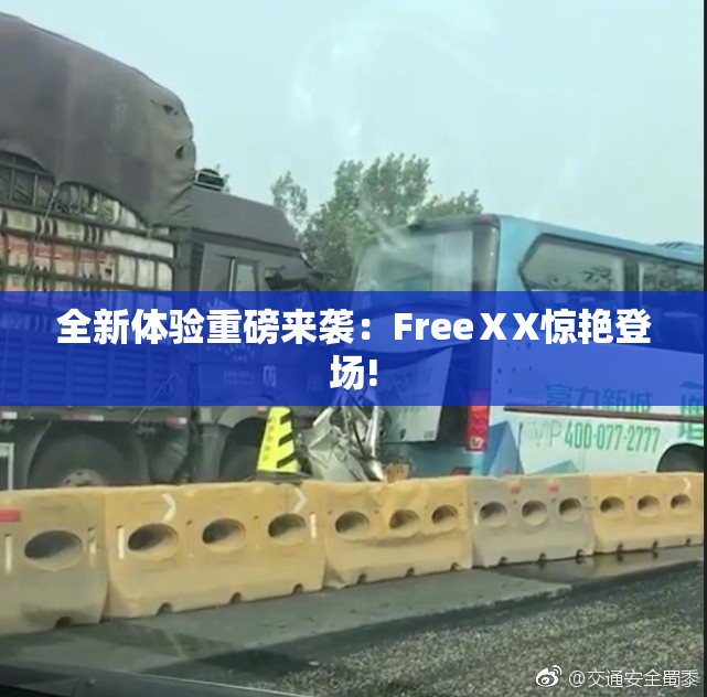 全新体验重磅来袭：FreeⅩX惊艳登场!