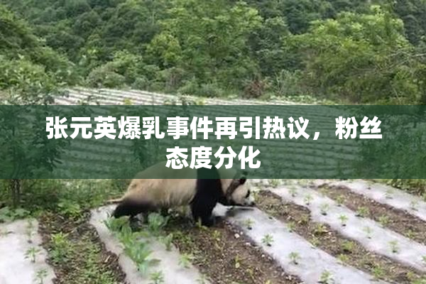 张元英爆乳事件再引热议，粉丝态度分化