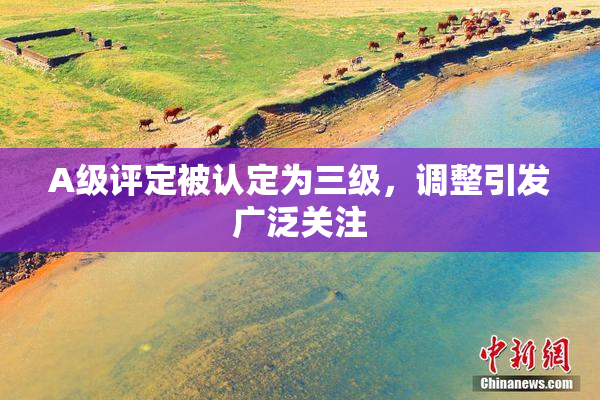 A级评定被认定为三级，调整引发广泛关注