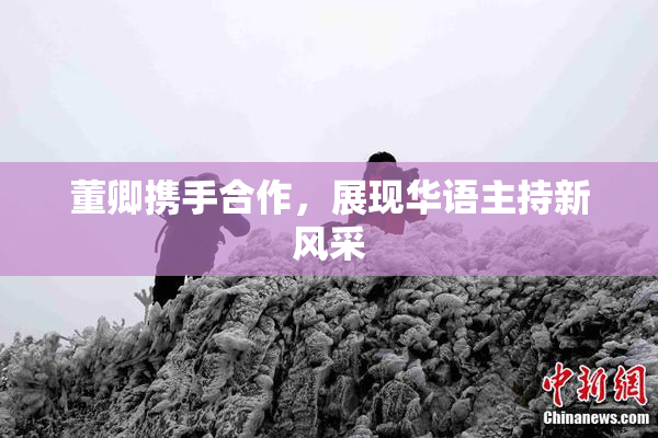 董卿携手合作，展现华语主持新风采