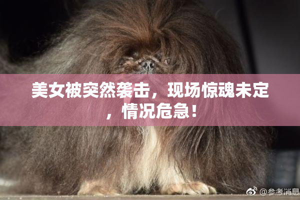 美女被突然袭击，现场惊魂未定，情况危急！