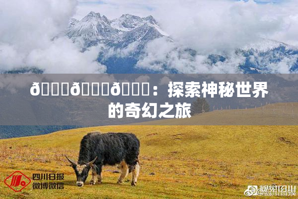 🍆🍑🔞：探索神秘世界的奇幻之旅