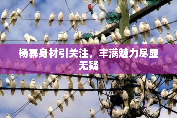 杨幂身材引关注，丰满魅力尽显无疑