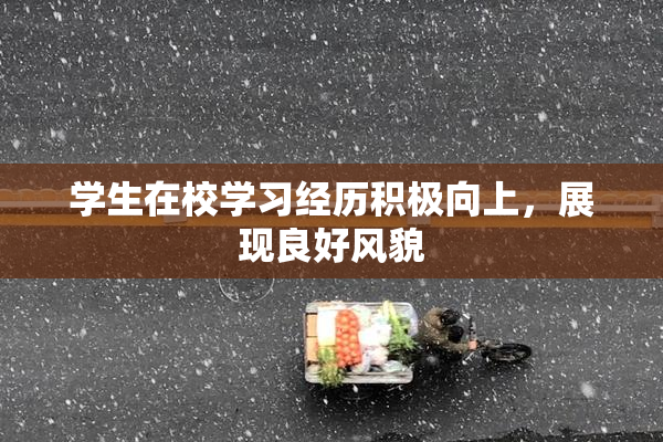学生在校学习经历积极向上，展现良好风貌