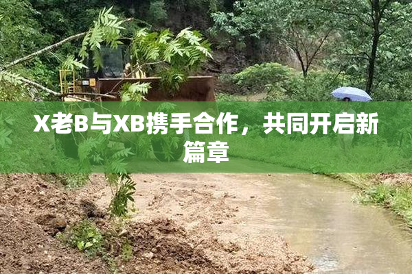 X老B与XB携手合作，共同开启新篇章