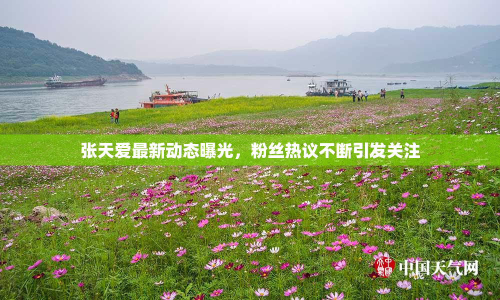 张天爱最新动态曝光，粉丝热议不断引发关注