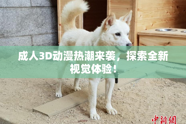 成人3D动漫热潮来袭，探索全新视觉体验！