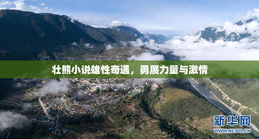 壮熊小说雄性奇遇，勇展力量与激情