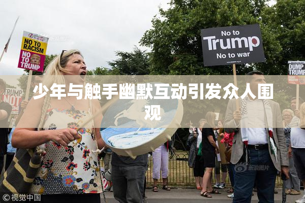 少年与触手幽默互动引发众人围观