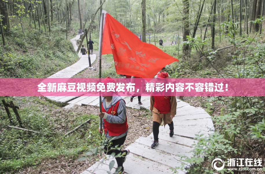 全新麻豆视频免费发布，精彩内容不容错过！