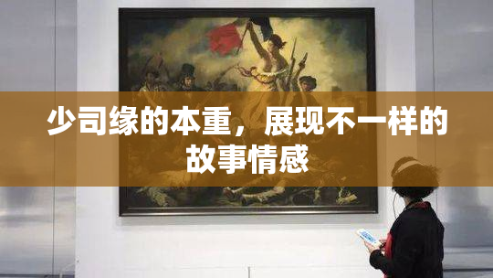 少司缘的本重，展现不一样的故事情感