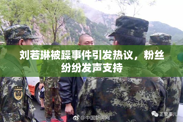 刘若琳被躁事件引发热议，粉丝纷纷发声支持