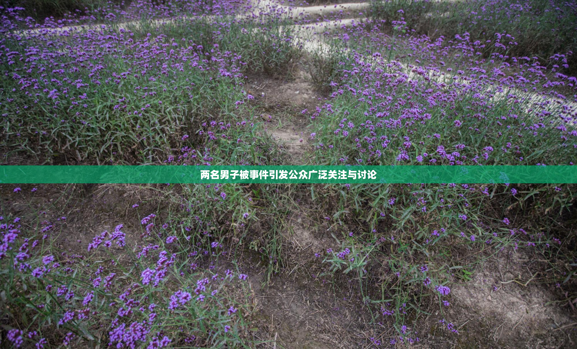 两名男子被事件引发公众广泛关注与讨论