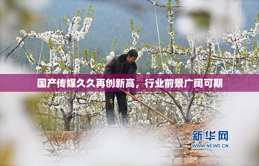 国产传媒久久再创新高，行业前景广阔可期