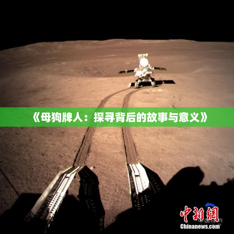 《母狗牌人：探寻背后的故事与意义》