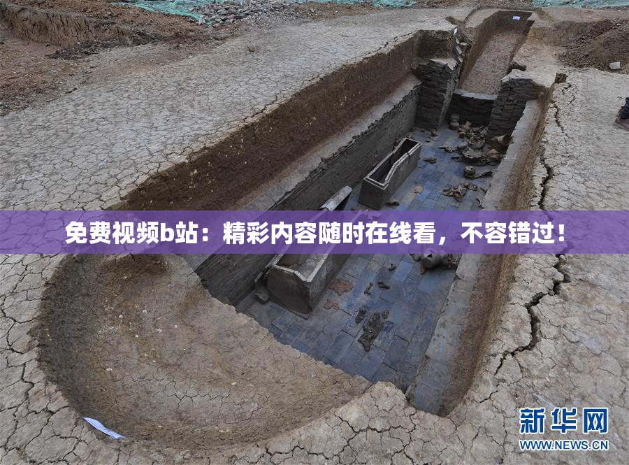 免费视频b站：精彩内容随时在线看，不容错过！