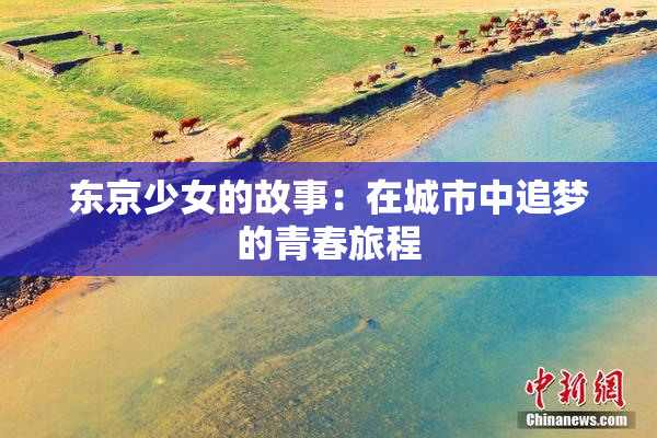 东京少女的故事：在城市中追梦的青春旅程