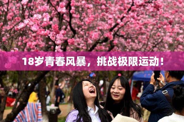 18岁青春风暴，挑战极限运动！