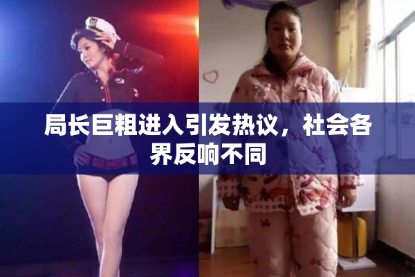 局长巨粗进入引发热议，社会各界反响不同