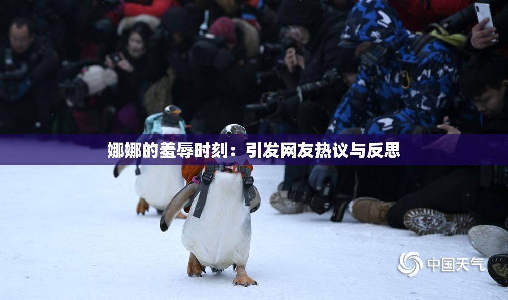 娜娜的羞辱时刻：引发网友热议与反思