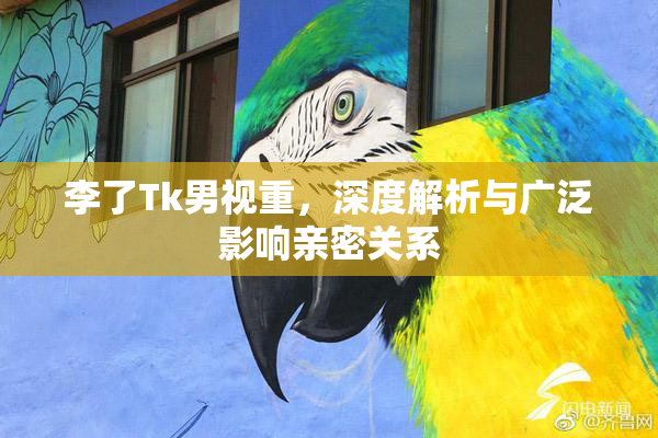 李了Tk男视重，深度解析与广泛影响亲密关系