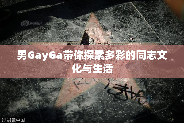 男GayGa带你探索多彩的同志文化与生活