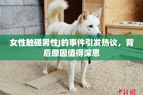 女性触碰男性J的事件引发热议，背后原因值得深思