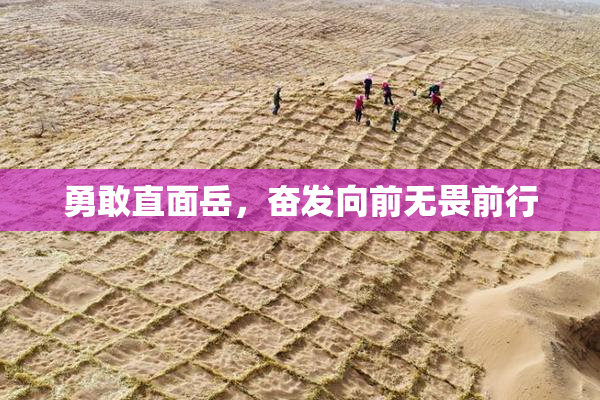 勇敢直面岳，奋发向前无畏前行