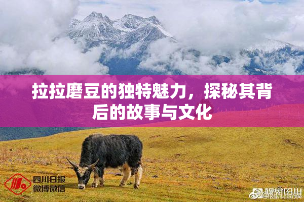 拉拉磨豆的独特魅力，探秘其背后的故事与文化