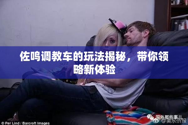 佐鸣调教车的玩法揭秘，带你领略新体验