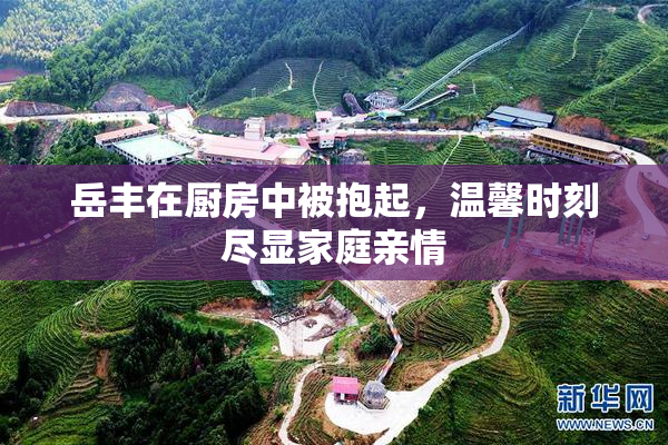 岳丰在厨房中被抱起，温馨时刻尽显家庭亲情