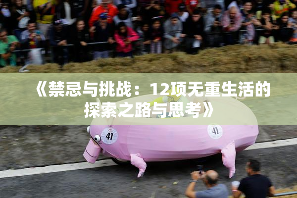 《禁忌与挑战：12项无重生活的探索之路与思考》
