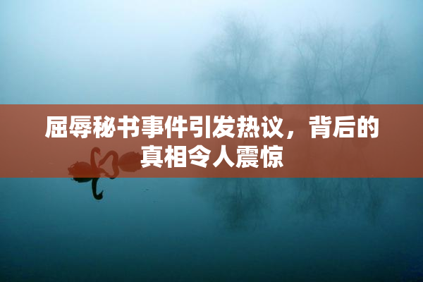 屈辱秘书事件引发热议，背后的真相令人震惊