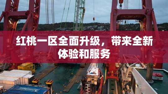 红桃一区全面升级，带来全新体验和服务