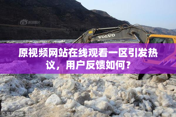 原视频网站在线观看一区引发热议，用户反馈如何？