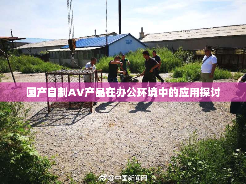 国产自制AV产品在办公环境中的应用探讨