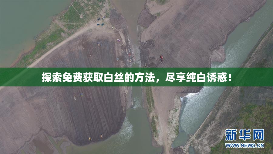 探索免费获取白丝的方法，尽享纯白诱惑！