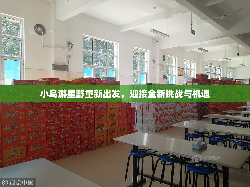 小鸟游星野重新出发，迎接全新挑战与机遇