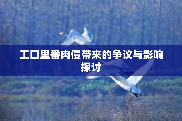 工口里番肉侵带来的争议与影响探讨