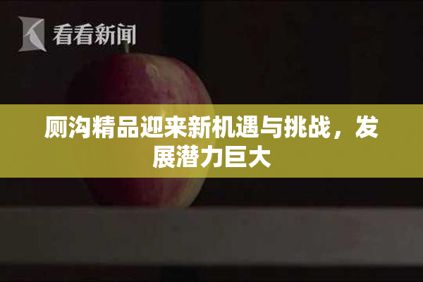 厕沟精品迎来新机遇与挑战，发展潜力巨大
