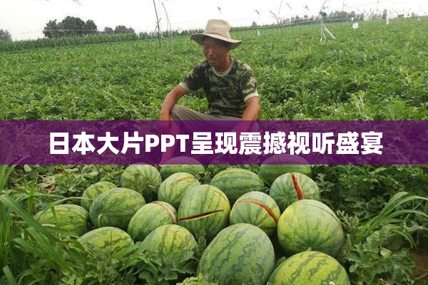 日本大片PPT呈现震撼视听盛宴