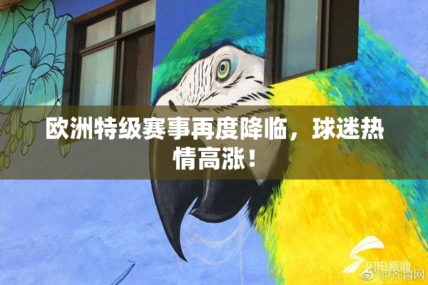 欧洲特级赛事再度降临，球迷热情高涨！