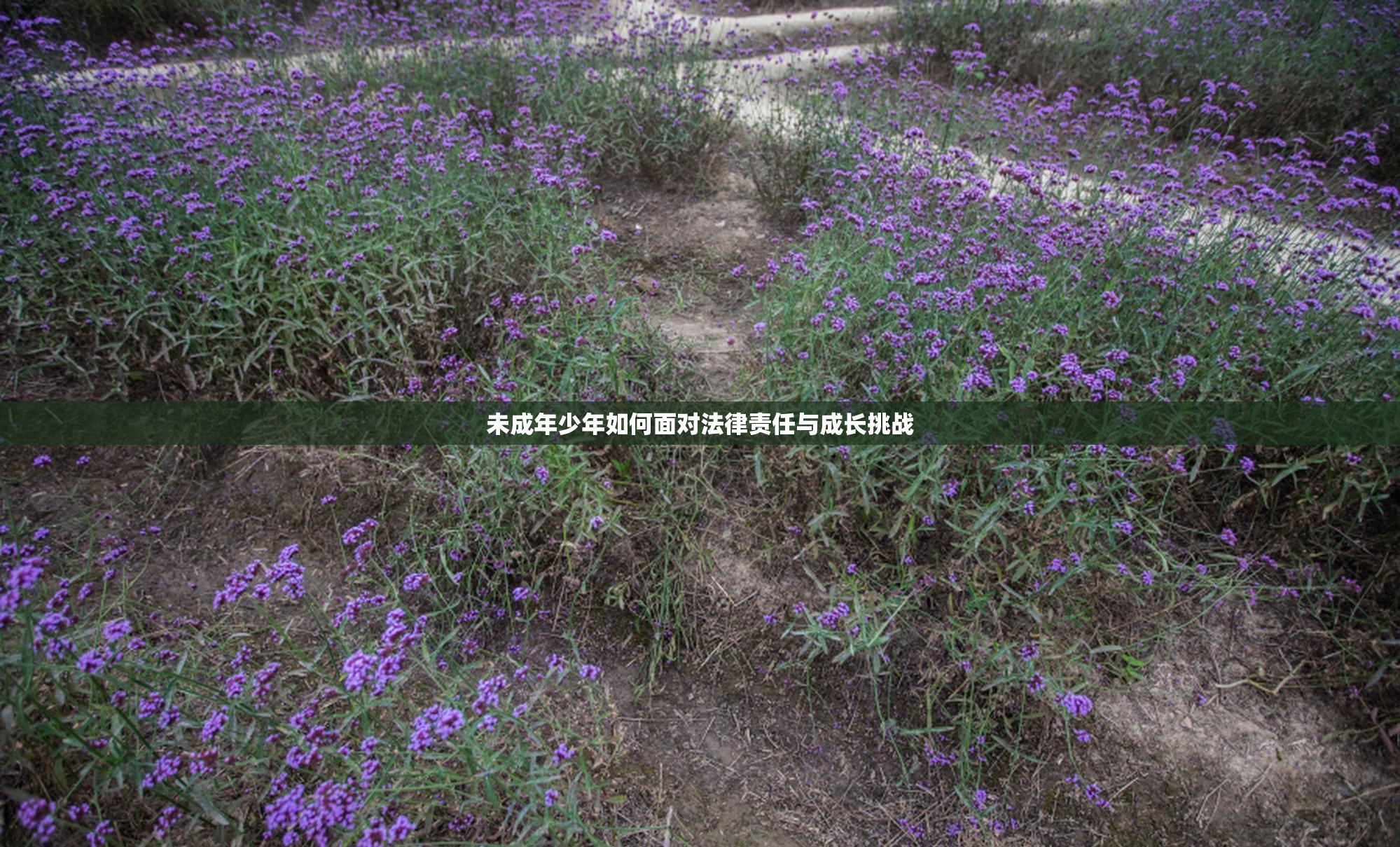 未成年少年如何面对法律责任与成长挑战